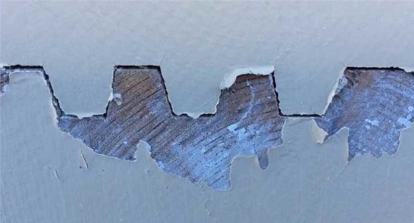 A primer is needed if you need to paint a tree, and even more so to plaster it