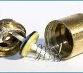 Disassembled water check valve