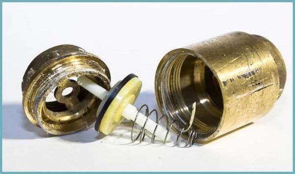 Disassembled water check valve