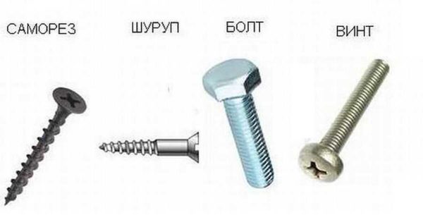 Difference between self tapping screw and wood screw