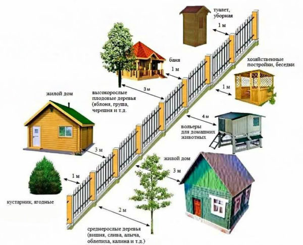 distance from trees to fence