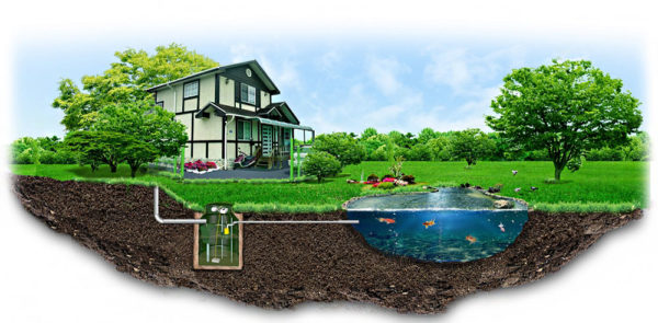 septic tank near the house
