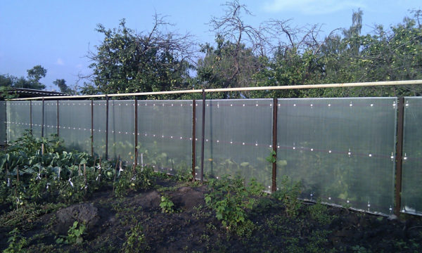polycarbonate fence