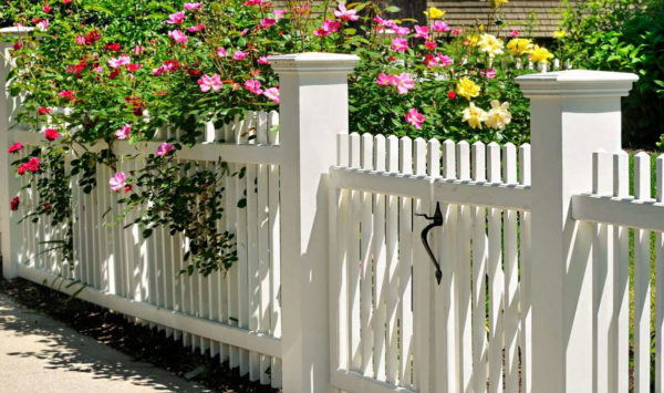 fence on the site