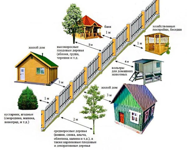 distance from trees on the site