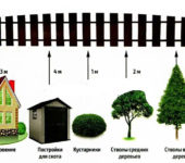 distance from trees to fence