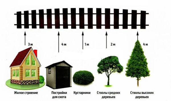 distance from trees to fence