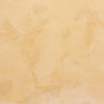 DALI-DECOR paint Texture. World Map coverage