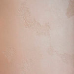 DALI-DECOR paint Texture. World Map coverage