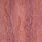 DALI-DECOR paint Texture. Coating Pine bark