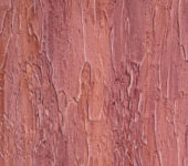 DALI-DECOR paint Texture. Coating Pine bark