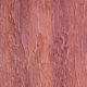 DALI-DECOR paint Texture. Coating Pine bark